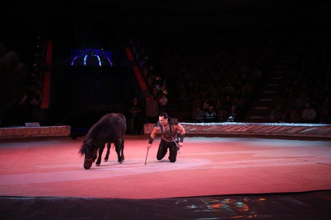 Летающий медведь и &laquo;Колесо смелости&raquo;: нижегородский цирк приглашает в &laquo;Звездный круиз&raquo; (ФОТО) - фото 72