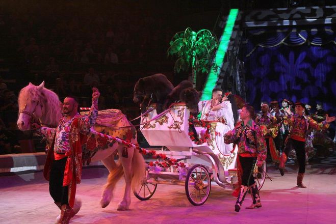 Леопарды под куполом цирка: премьера шоу &laquo;Баронеты&raquo; (ФОТО) - фото 33