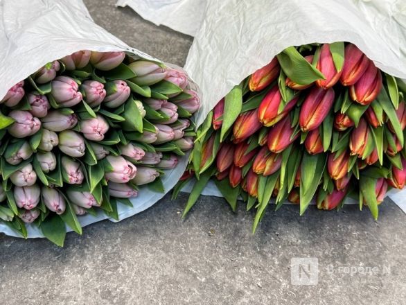 Мужчины, готовьтесь. Рассказываем, сколько стоят цветы к 8 марта в Нижнем Новгороде - фото 10