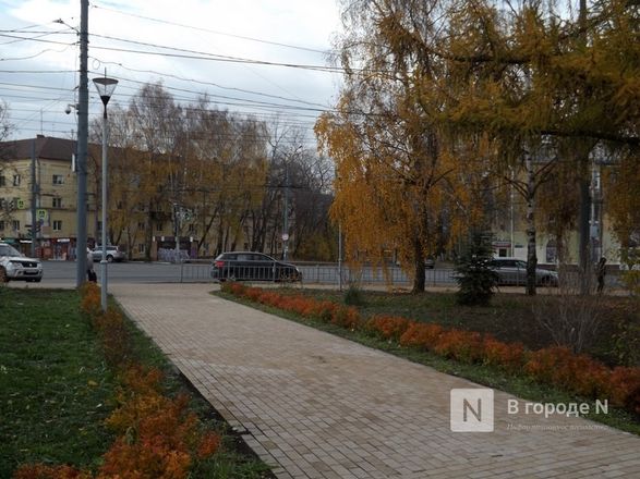 Живые изгороди и паркур-парк: как изменился Советский район - фото 21