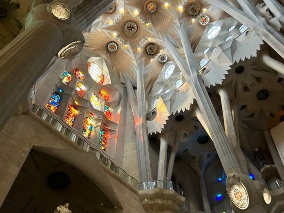 Морские гады, руины и потрясающий климат: вся правда о путешествии Барселона &mdash; Рим - фото 54