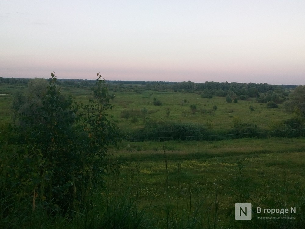 Артемовские луга могут сделать национальным парком - фото 1