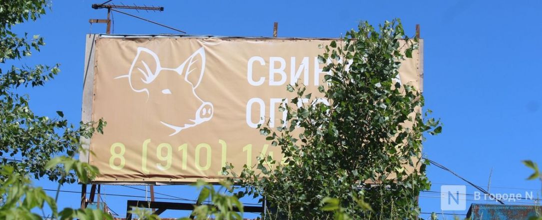 И здесь будут высотки: как выглядит площадка под КРТ в Бурнаковской низине - фото 17