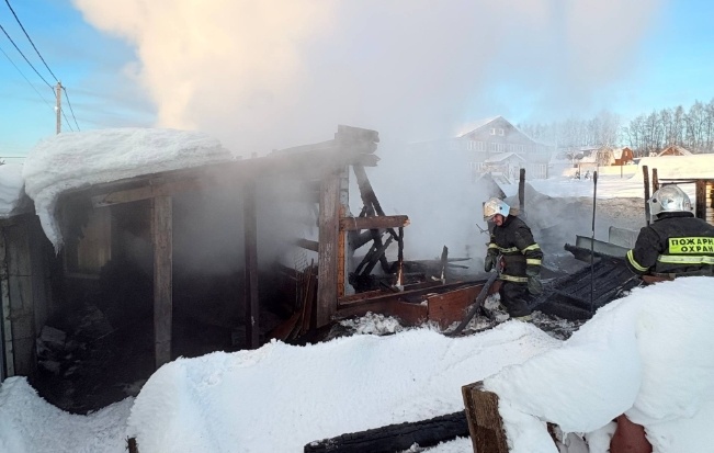 Курятник и баня сгорели в Нижегородской области  - фото 1