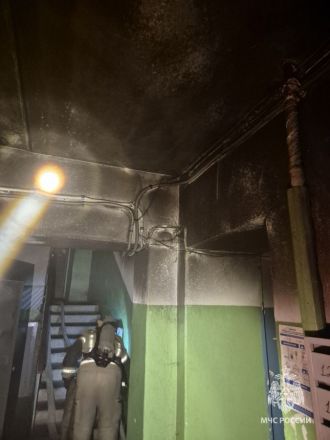 80 человек спасли при пожаре в многоквартирном доме в Нижнем Новгороде - фото 1