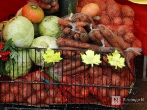 Более 80 автомобилей и 4000 соцработников доставляют продукты и лекарства одиноким нижегородцам