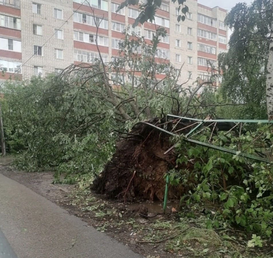 Град и поваленные деревья: непогода обрушилась на Арзамас 8 июля |  08.07.2023 | Нижний Новгород - БезФормата