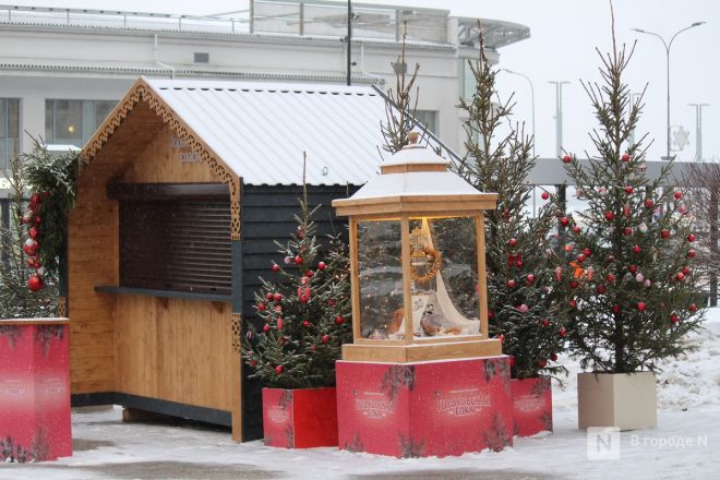 Пингвины, карусель и лунный каток: карта самых атмосферных новогодних локаций Нижнего Новгорода - фото 5