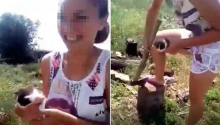 Дочь российского чиновника со смехом зарубила топором котенка