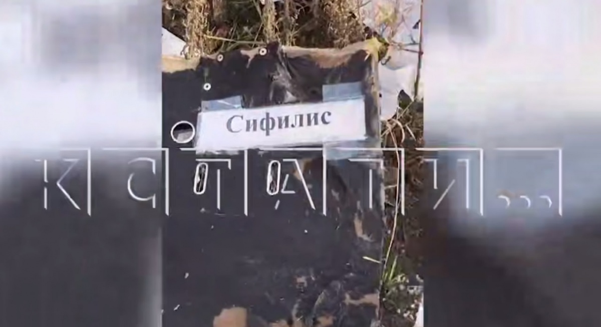 Свалку медицинских документов нашли в Нижнем Новгороде