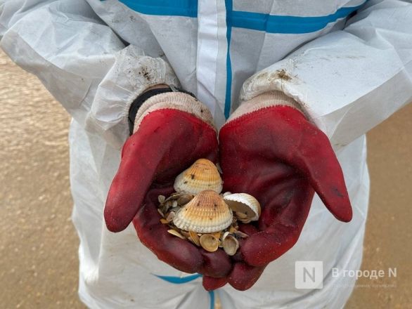 &laquo;Это наша общая боль&raquo;. Нижегородка рассказала, что происходит на месте экологической катастрофы в Анапе - фото 29