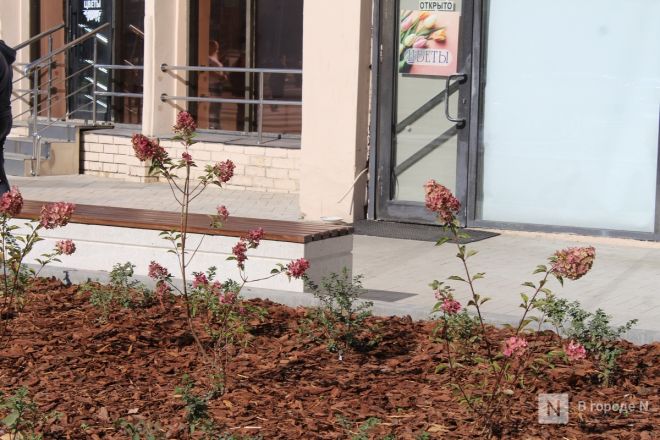 Благоустройство площади у Автозаводского универмага завершено в Нижнем Новгороде - фото 36