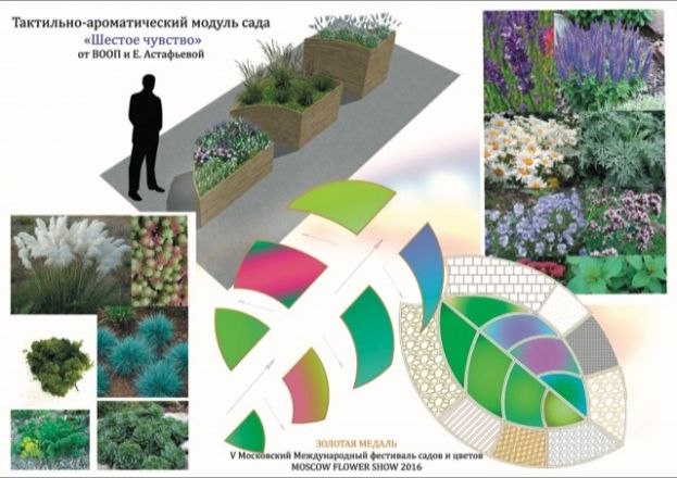 Модульные сады могут создать у станции метро &laquo;Сенная&raquo; в Нижнем Новгороде - фото 2