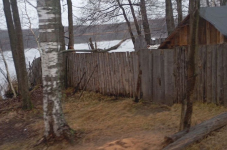 Незаконные сооружения нашли на берегу нижегородского озера Кузьмияр - фото 1