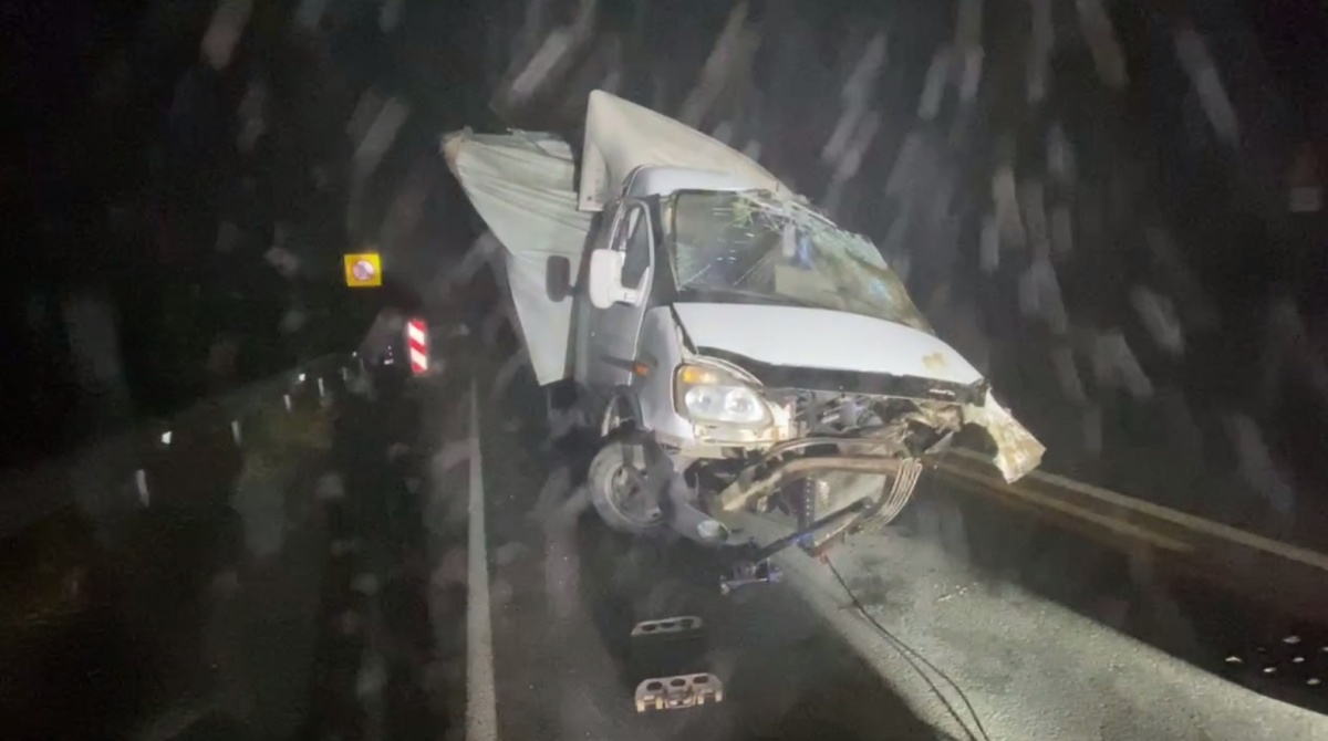 «ГАЗель» врезалась в отбойник на трассе в Нижегородской области - фото 1