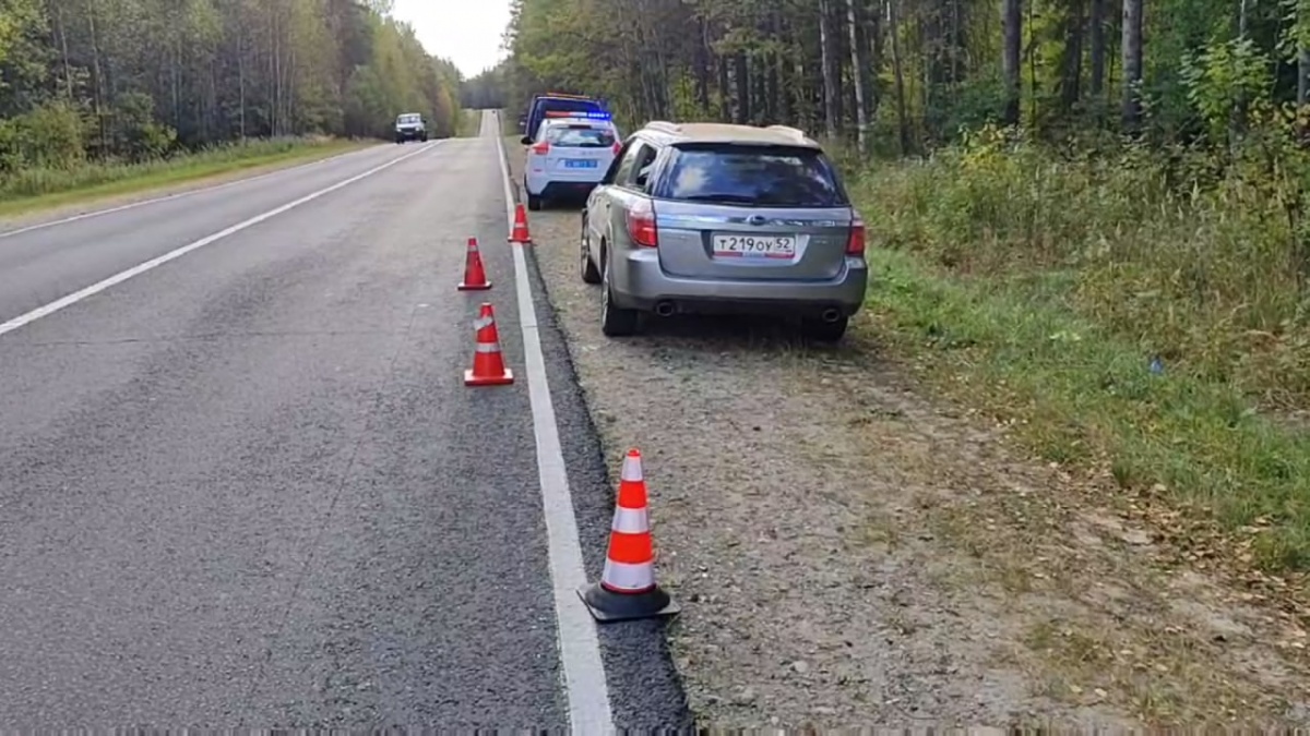 Водитель Subaru пострадал в ДТП с лосем в Нижегородской области - фото 1