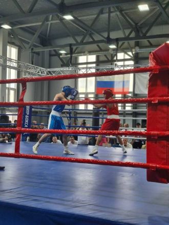 Никитин показал фото центра бокса в Городце - фото 1