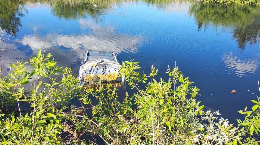 Автомобиль утонул в борском болоте - фото 1