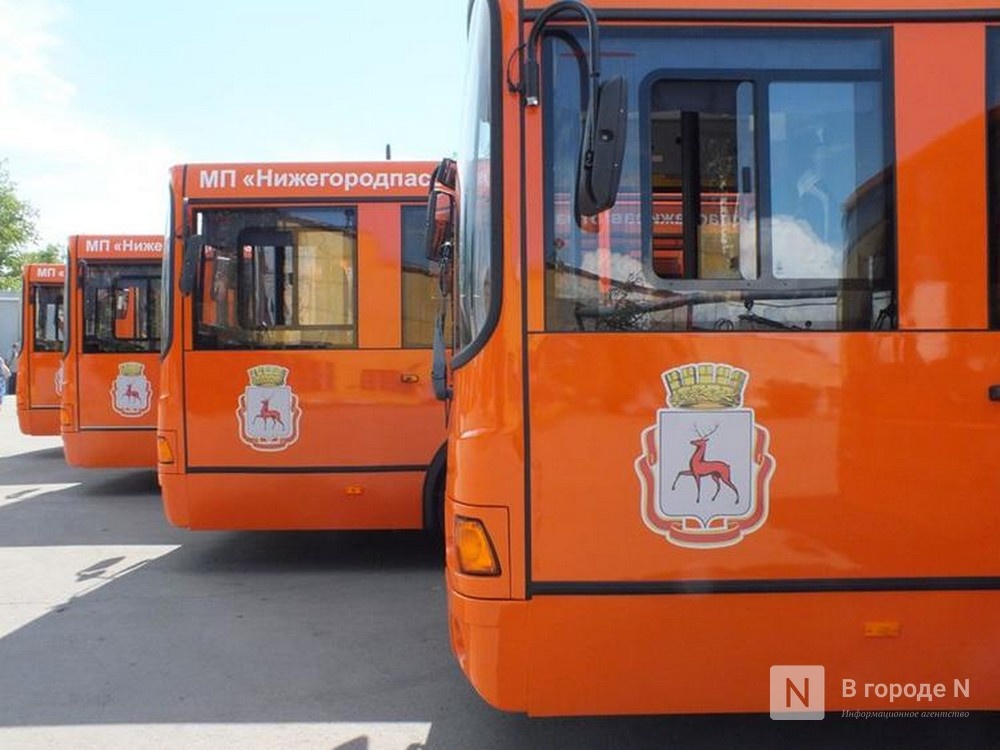 Количество автобусов на нижегородских дорогах в часы пик увеличится
