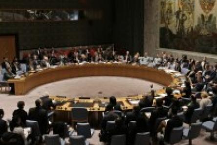Россия созывает Совбез ООН для обсуждения действий Турции в Ираке и Сирии