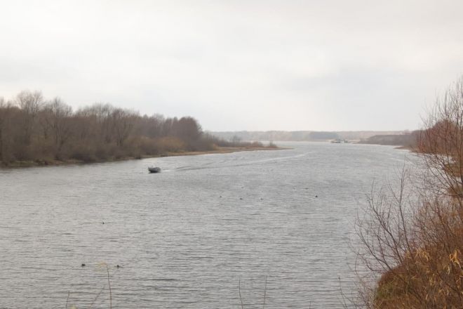 Около ста дзержинцев посетили субботник на нижней части Окской набережной  - фото 4