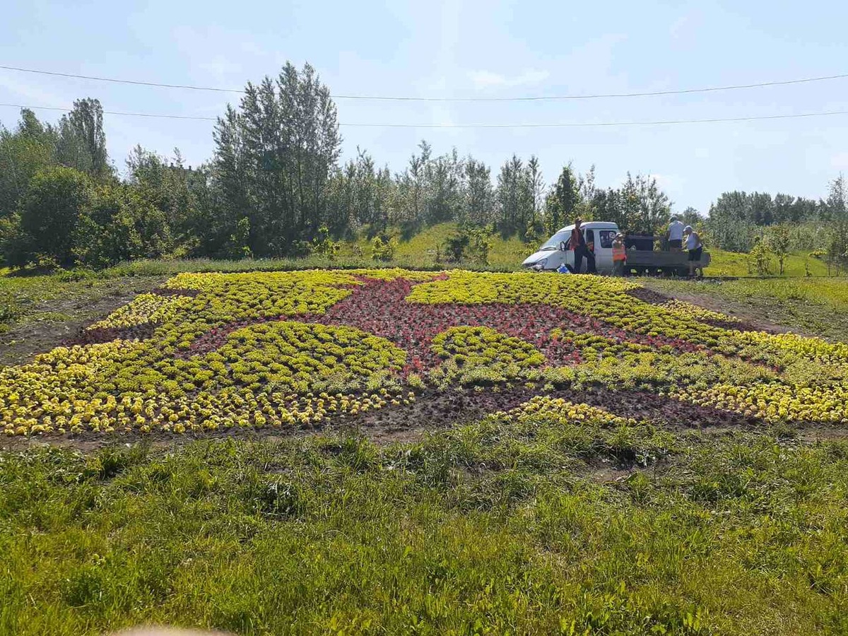 Олень из 15 тысяч цветов появился в Приокском районе - фото 1