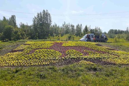 Олень из 15 тысяч цветов появился в Приокском районе