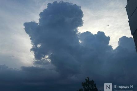 Ветер усилится в Нижегородской области в ближайшие часы