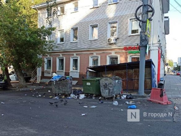 Нижегородцы пожаловались на ужасное состояние мусорной площадки на улице Фрунзе - фото 3