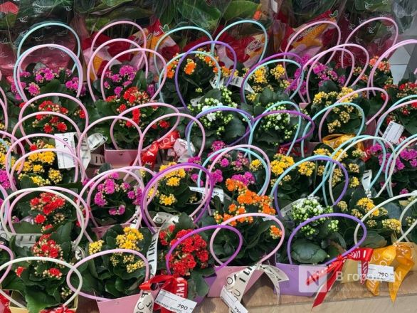 Мужчины, готовьтесь. Рассказываем, сколько стоят цветы к 8 марта в Нижнем Новгороде - фото 93