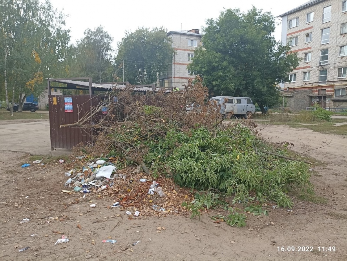 Правила сжигания веток упрощаются в Нижегородской области - фото 1