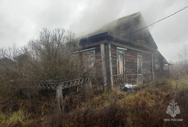Мужчина погиб на крупном пожаре в частном доме в Нижегородской области - фото 2