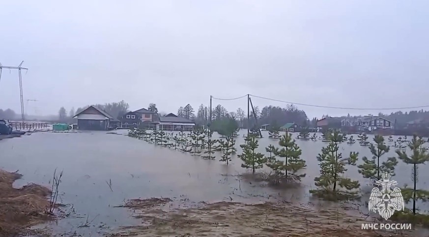 Паводок в Нижегородской области: что затопило 9 апреля - фото 1