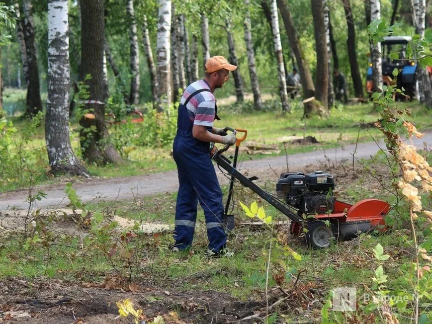 Нижегородцы получили острый дерматит после покоса травы