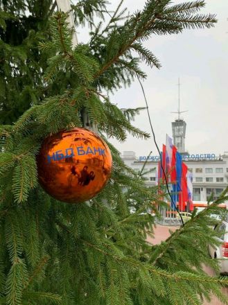 Живую новогоднюю елку на площади Маркина установил НБД-Банк - фото 10