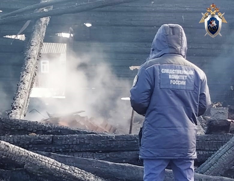 Следователи ведут проверку по факту гибели пенсионерки на пожаре в Тоншаевском районе - фото 1