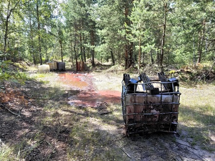 Химические отходы разлили в лесу Дзержинска