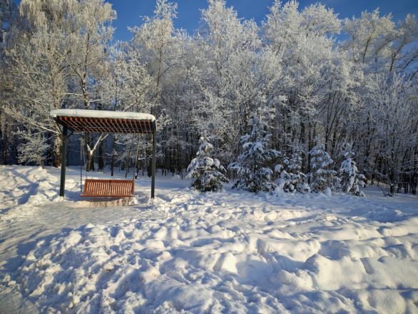 Аномальные морозы в Нижнем Новгороде: фоторепортаж из заснеженных парков - фото 21
