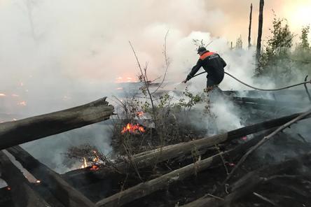 50 нижегородских пожарных помогают тушить заповедник в Мордовии