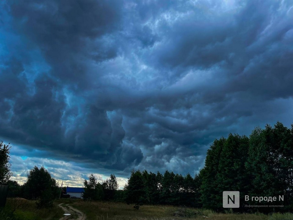 Ливни ожидаются в Нижегородской области 4 июня - фото 1