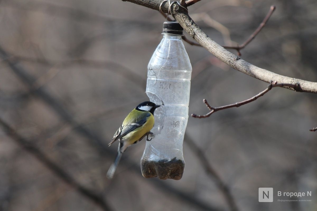 Синоптики дали предварительный прогноз на апрель в Нижнем Новгороде  - фото 1