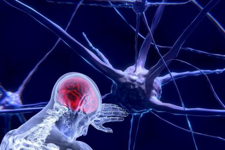 &laquo;Нервновозбудимые люди живут меньше спокойных&raquo;, &mdash; ученые