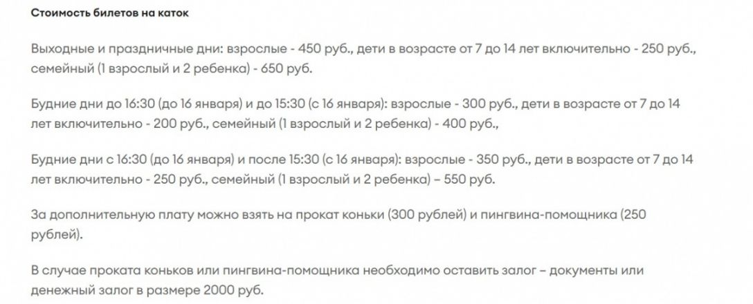 Каток и новогодняя площадка открылись на нижегородской ярмарке - фото 7