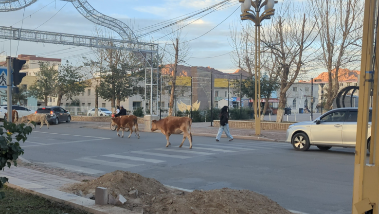 Нижегородец объехал Алтай, Монголию и Байкал за 40 дней &mdash; показываем, как это было - фото 76