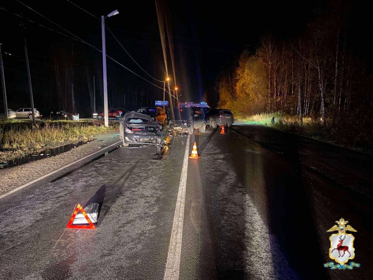 Опубликованы фотографии массового ДТП в Нижегородской области - фото 1