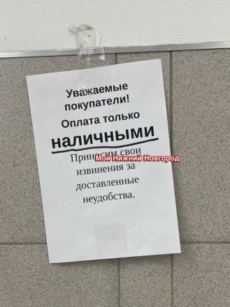Нижегородцы снова жалуются на проблемы с оплатой из-за отсутствия интернета - фото 2
