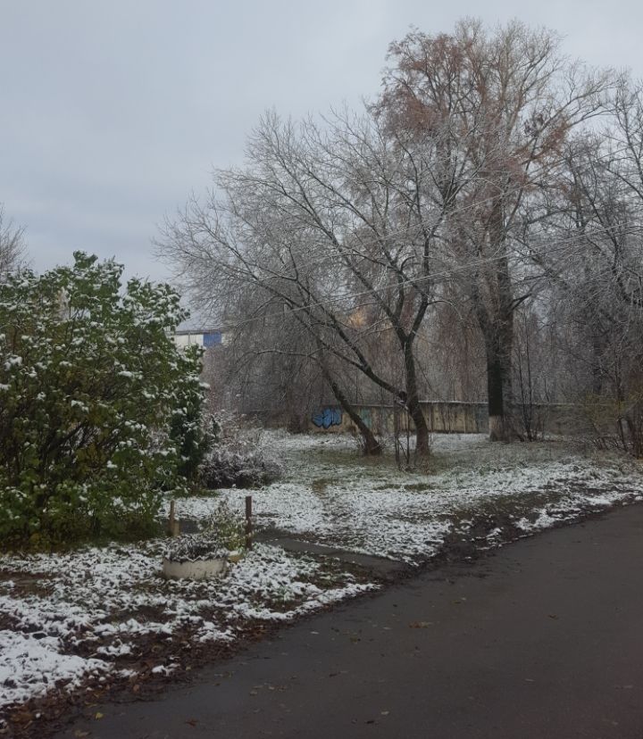 В новгороде выпал снег. Зима без снега. Первый снег. Снег в городе. Снег фото.
