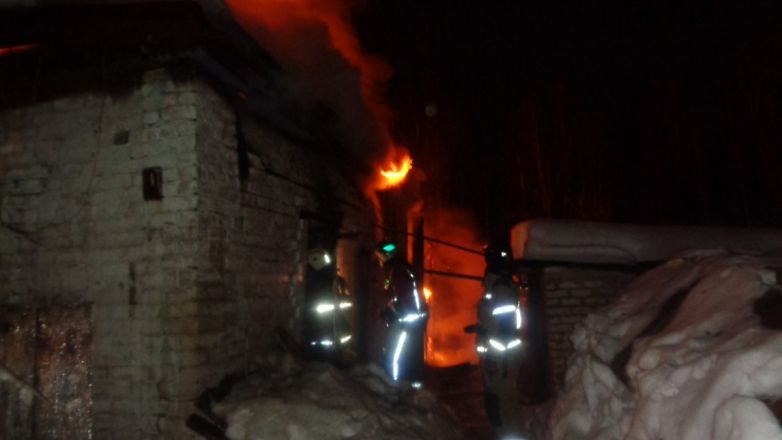 Два человека погибли на ночном пожаре в Борском округе - фото 3