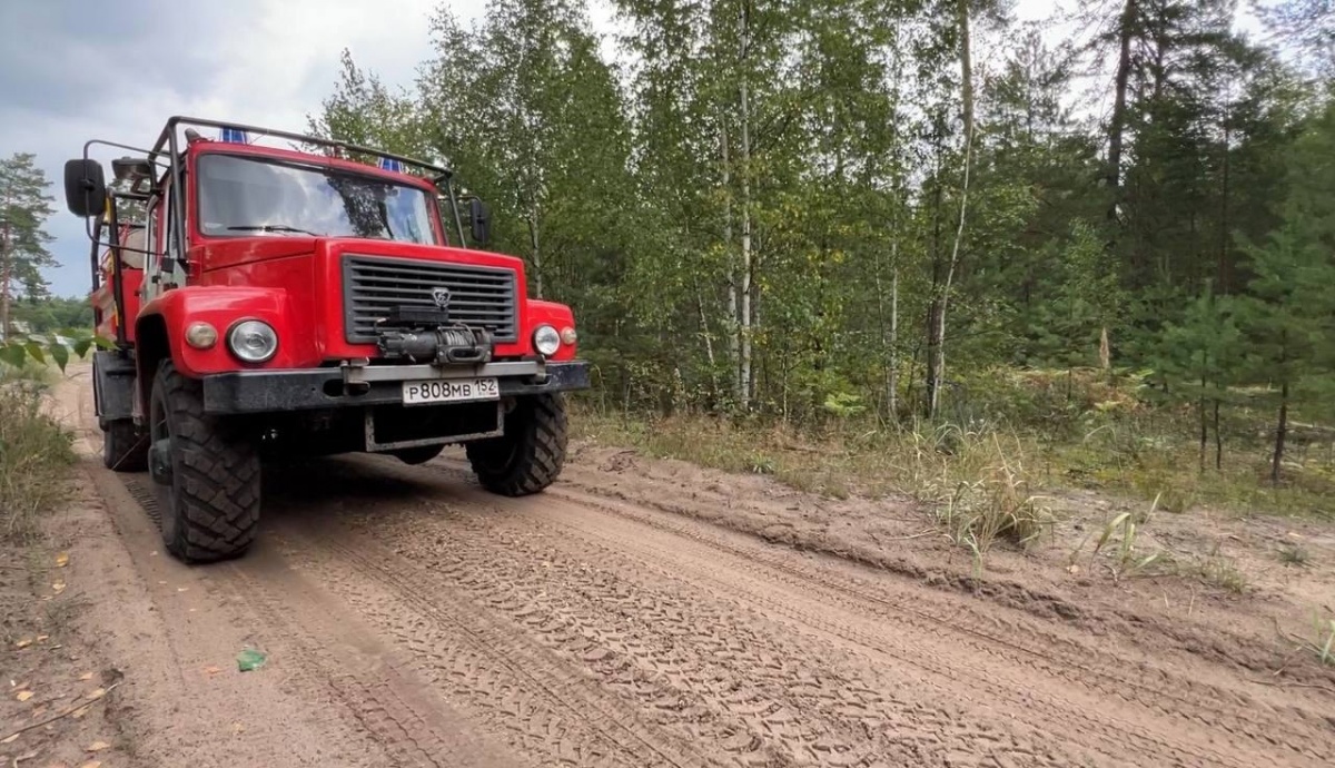 Противопожарный режим сняли в Нижегородской области - фото 2