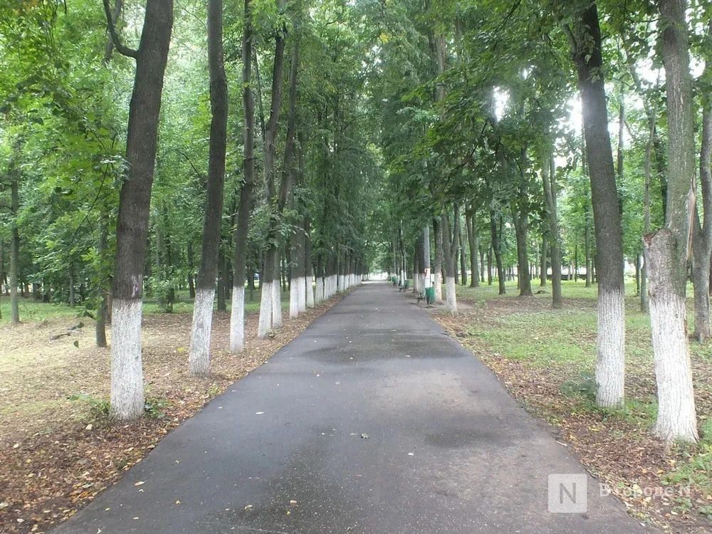 Два новых сквера появятся в Нижнем Новгороде - фото 1